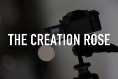 The Creation Rose: TVSS: Staple