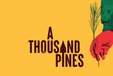 Independent Lens: A Thousand Pines: TVSS: Banner-L1