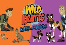 Wild Kratts: Cats and Dogs: TVSS: Banner-L1