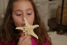 Pinkalicious & Peterrific: Indoor Camp-In; The Flutterbugs: TVSS: Iconic