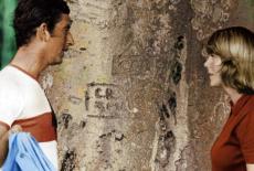 The Real Crown: Inside the House of Windsor: Threats: TVSS: Iconic