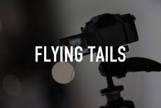 Flying Tails: TVSS: Staple