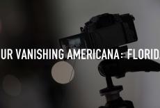 Our Vanishing Americana: Florida: TVSS: Staple
