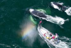 The Future of Nature: Oceans: TVSS: Iconic