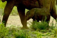 Life From Above: Moving Planet: TVSS: Iconic