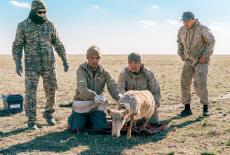 The Future of Nature: Grasslands: TVSS: Iconic