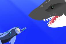 Wild Kratts: Speaking Dolphinese: TVSS: Iconic