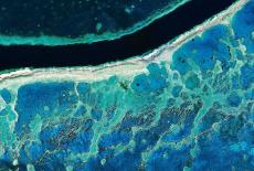 Life From Above: Colorful Planet: TVSS: Iconic