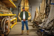 Human Footprint: Top Predator: TVSS: Iconic