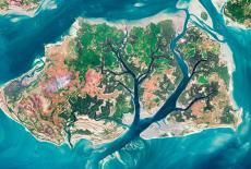 Life From Above: Patterned Planet: TVSS: Iconic