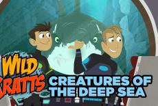 Wild Kratts: Creatures of the Deep Sea: TVSS: Banner-L2