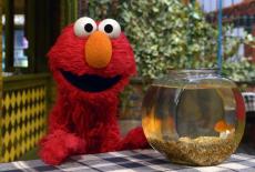 Sesame Street: Elmo and Abby's Ocean Adventure: TVSS: Iconic