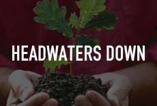 Headwaters Down: TVSS: Staple