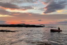 Sea Change: The Gulf of Maine, A NOVA Special Presentation: Survival: TVSS: Iconic