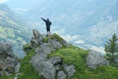 Our New World: A Wild Revival: TVSS: Iconic