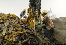 Hope in the Water: Changing the Menu: TVSS: Iconic