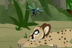 Wild Kratts: Search for the Florida Panther: TVSS: Iconic