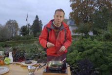 New Scandinavian Cooking: Flavors of the Eternal Forest: TVSS: Iconic