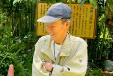 Herbal Symphony: TVSS: Iconic