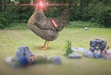 Odd Squad: The Good, The Great, and The Hungry; The Rookie Run: TVSS: Iconic