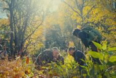 View Finders: Great Smoky Mountains National Park: TVSS: Iconic