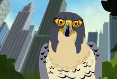 Wild Kratts: Falcon City: TVSS: Iconic