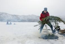 New Scandinavian Cooking: Packed School Lunch: TVSS: Iconic