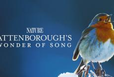 Nature: Attenborough's Wonder of Song: TVSS: Banner-L1