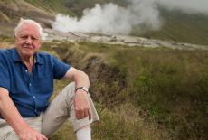 Nature: Attenborough's Life Journey: TVSS: Iconic