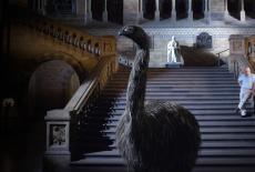 Nature: Museum Alive With David Attenborough: TVSS: Iconic