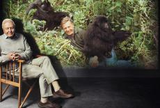 Life on Earth: Attenborough's Greatest Adventure: TVSS: Iconic