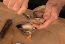 Jacques Pépin: Heart & Soul: Catch O' the Day: TVSS: Iconic