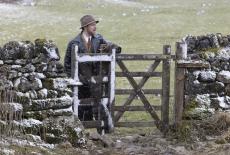 All Creatures Great and Small on Masterpiece: Broodiness: TVSS: Iconic