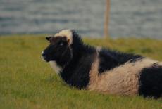 View Finders: Faroe Islands (part 1): TVSS: Iconic