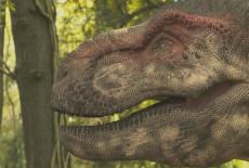 NOVA: Dinosaur Apocalypse: The New Evidence: TVSS: Iconic