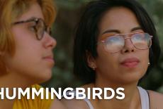 POV: Hummingbirds: TVSS: Banner-L1