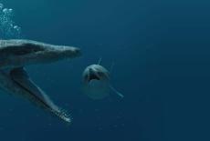 Nature: Attenborough and the Jurassic Sea Monster: TVSS: Iconic