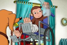 Curious George: Housebound!; Curious George Rides a Bike: TVSS: Iconic