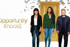 Opportunity Knocks: TVSS: Banner-L1