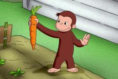 Curious George: Curious George, Dog Counter; Squirrel for a Day: TVSS: Iconic