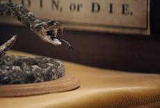 Iconic America: Our Symbols and Stories With David Rubenstein: The Gadsden Flag: TVSS: Iconic