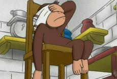 Curious George: Curious George Sees Stars; Curious George Gets a Trophy: TVSS: Iconic