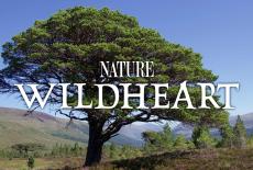 Nature: WildHeart: TVSS: Banner-L1