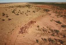 Outback: The Kimberley Comes Alive: TVSS: Iconic