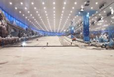 Impossible Builds: Ice World: TVSS: Iconic