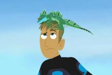 Wild Kratts: Walk on the Wetside: TVSS: Iconic