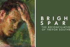 Bright Spark: The Reconciliation of Trevor Southey: TVSS: VOD Art