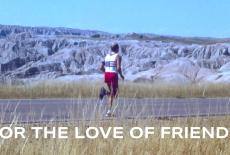 For the Love of Friends: TVSS: Banner-L1