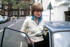 Diana's Decades: 1970s: TVSS: Iconic