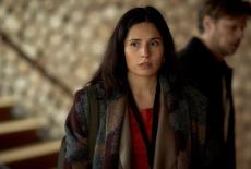 Van der Valk on Masterpiece: Safe in Amsterdam, Part 2: TVSS: Iconic